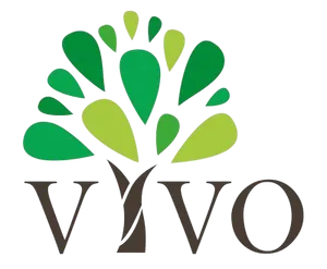 Vivo logo